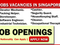 Find a job in Singapore by 2019