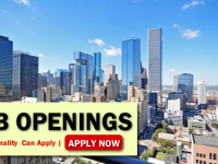 Houston Job Opportunities