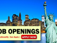 New York Job Opportunities