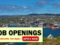 Newfoundland Job Opportunities