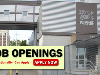 Nestle Job Opportunities