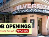 Silverstar Job Opportunities