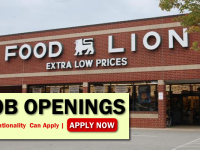 Food Lion Job Opportunities