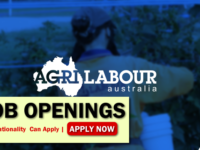 Agri Labour Australia Pty Ltd Job Opportunities