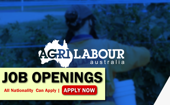 agri-labour-australia-pty-ltd-job-opportunities-ajoboo