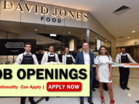 David Jones Job Opportunities