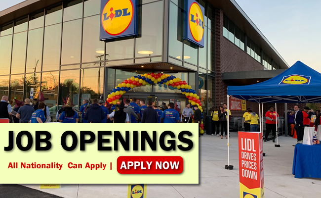 Lidl Job Opportunities Ajoboo 4794