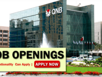 Qnb Job Opportunities