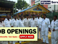 Alpine Engineering Services Pte Ltd Job Opportunities