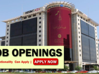 HSBC Qatar Job Opportunities