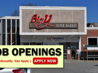 Big Y Job Opportunities