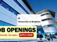 University of Brighton Job Opportunities